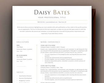 Executive Resume, Modern Resume, Professional Resume, Resume Design, C Level Resume Template + Cover Letter, Director, Manager, CEO | 2 Page