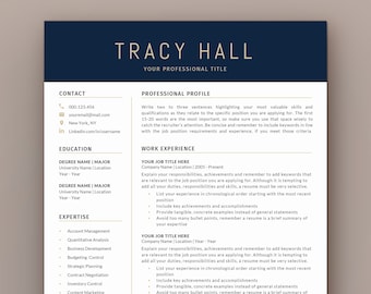 Executive Resume Template | Modern C Level Resume Template for Word | CEO Resume | Director Resume Template 2023 | 3 Page Resume Template