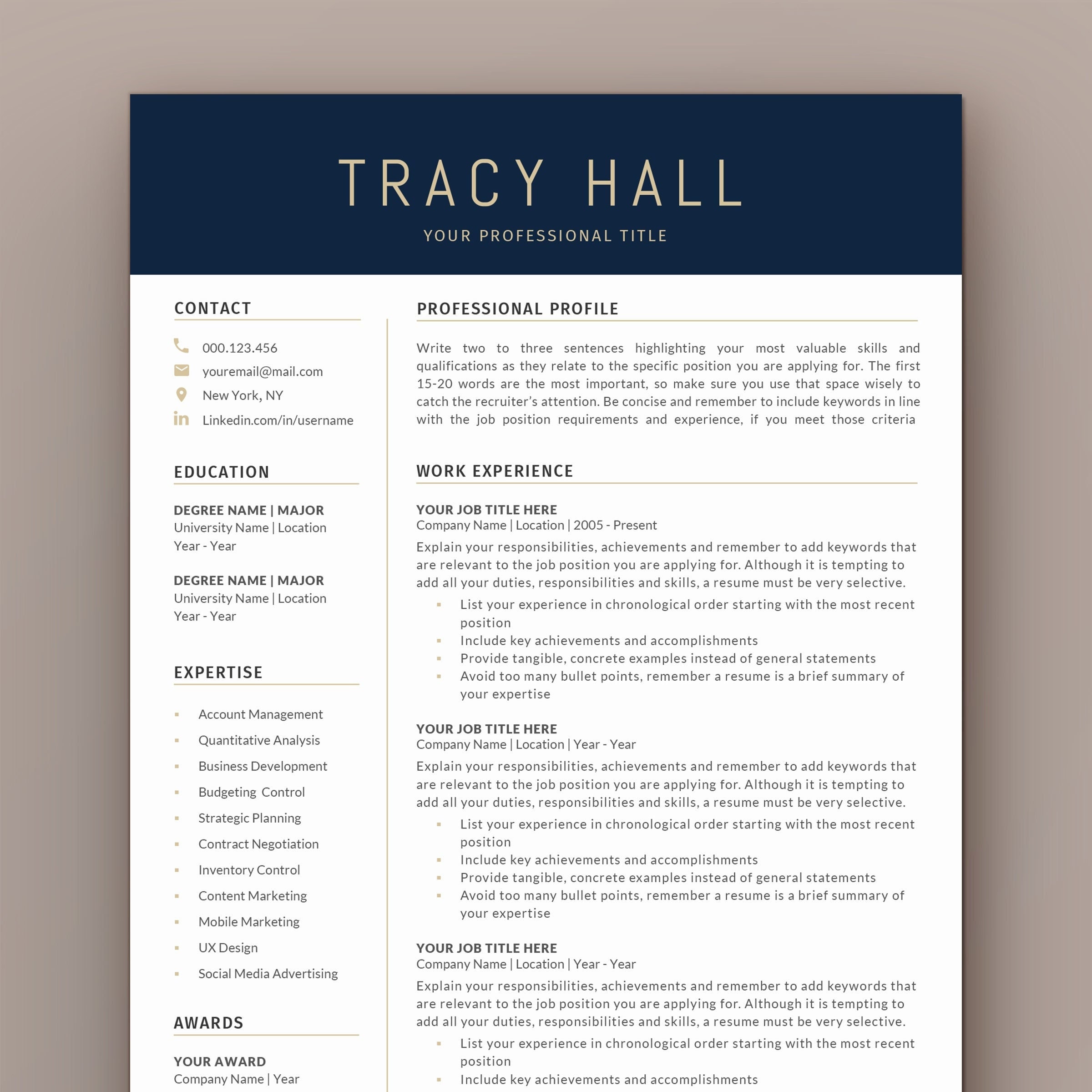 Executive Resume Template Modern C Level Resume Template for Word CEO Executive Resume Template Modern C Level Resume Template for Word CEO