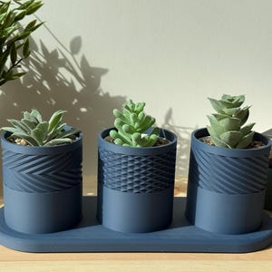 Geometric Succulent Planter Trio | 3D Printed Pots with Drainage Tray