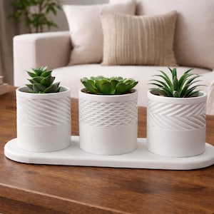 Geometric Succulent Pots 3 Pack | Modern Mini Indoor Planters | Minimalist Desk & Home Decor Gift