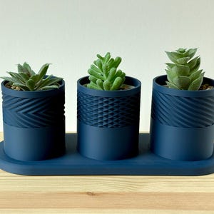 May include: Three navy blue cylindrical planters with textured designs, each holding a small succulent plant. The planters sit on a matching navy blue tray, creating a cohesive decorative piece. The plants have green leaves.