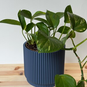 The Petal | 6” 3D Printed Planter Pot | Modern Ribbed Geometric Planter with Drainage Tray
