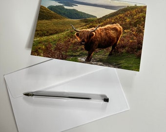 Wee Blue Coo SHEEP FLOCK FARM ANIMAL PHOTO BIRTHDAY GIFT BLANK GREETINGS CARD