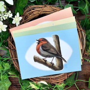 Postales de aves, 4 postales, postales ilustradas, postales A6, aves británicas