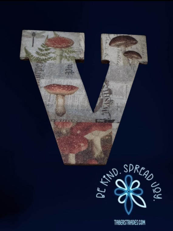 Letter V Refrigerator Magnets