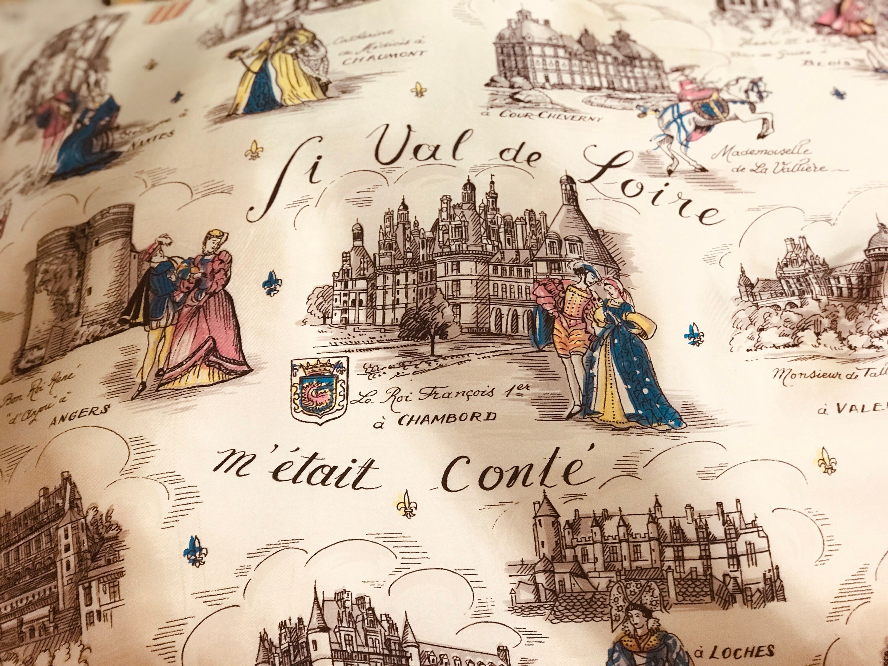 Tres Grand Coussin Carré en Soie Vintage Châteaux de La Loire