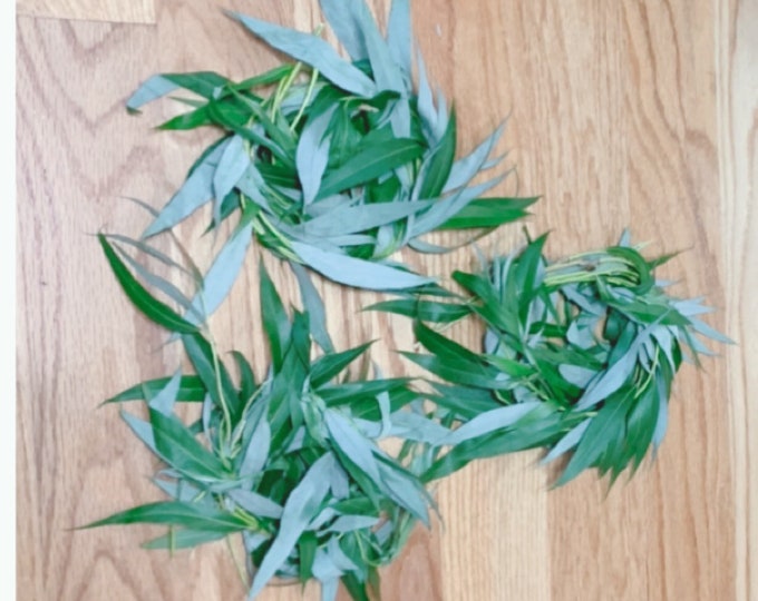 Fresh Dried Willow Wreath for Bunny Rabbits Etsy