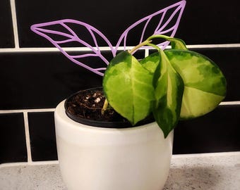Soporte para plantas impreso en 3D