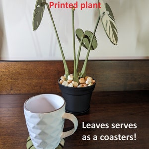 Monstera plant/coasters |Albo colors | 3D printed plant with magnetic leaves that are coasters.