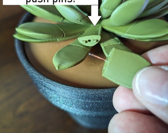 Push Pin Succulent plant | 3D Printed with pot