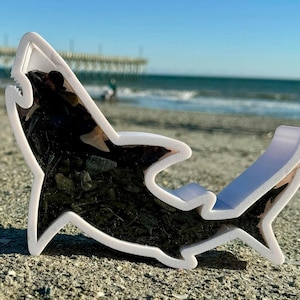Shark tooth shadow box | Shark teeth storage | Display box | Gift for beach goers