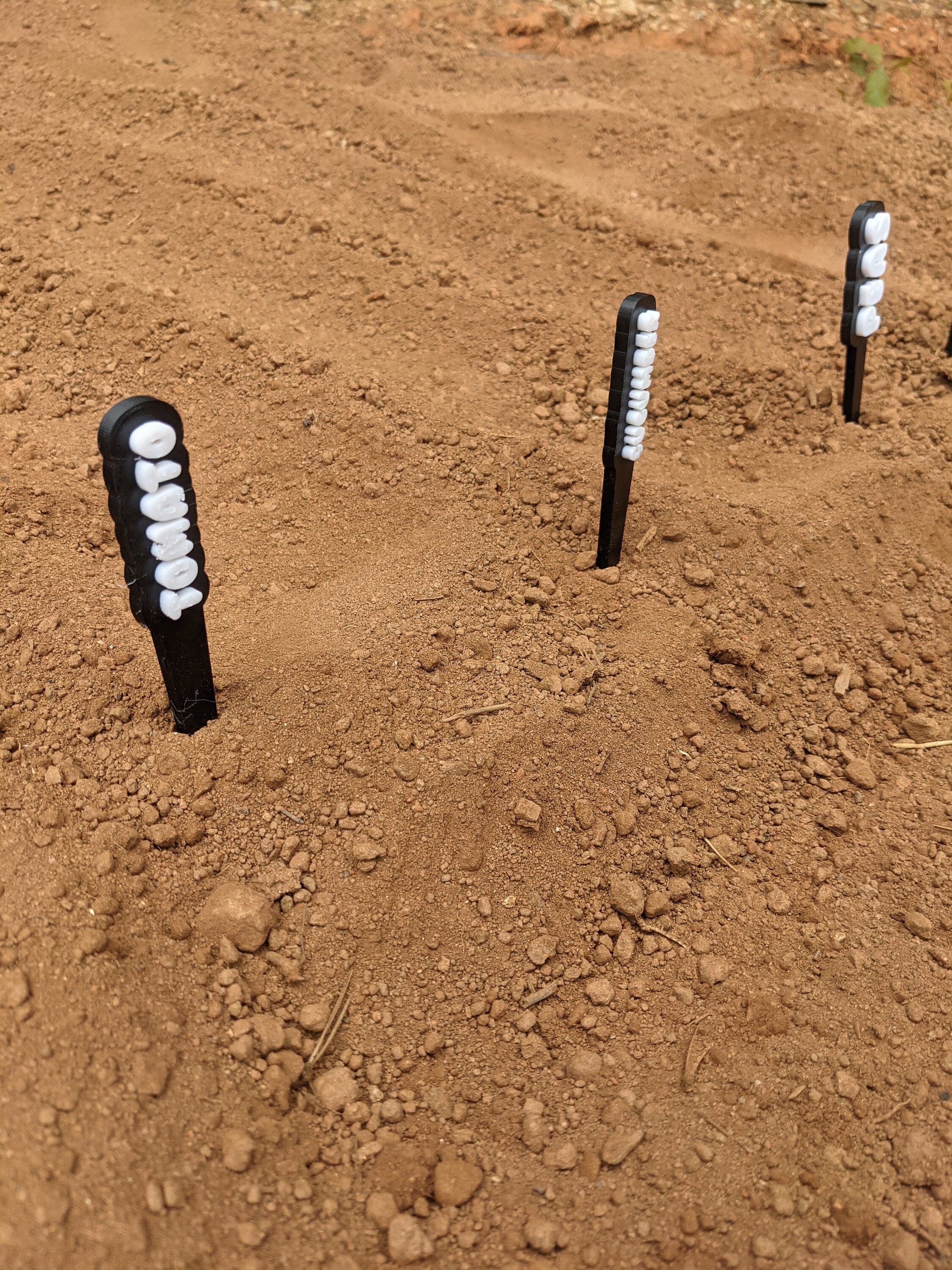 Utilice estas estacas personalizadas para etiquetar su jardín | Etsy