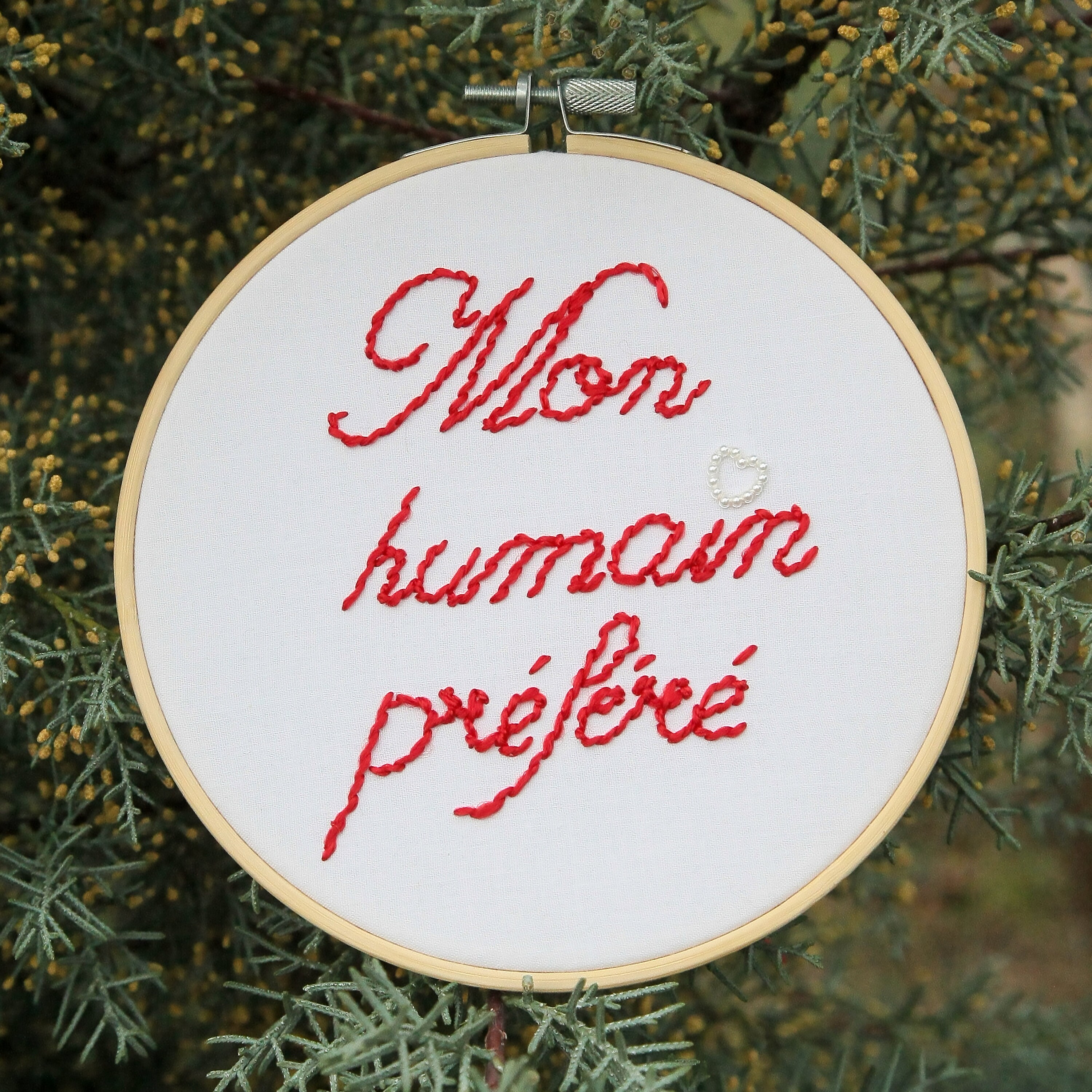 Kit de Broderie Mon Humain Préféré