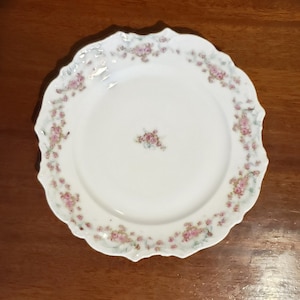 Vintage Theodore Haviland Limoges Salad Plate