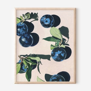 Blueberries Painting Art Print, Abstract Fruit Art, Minimal Food Art, Modern Fruit Illustration, Unframed Print, Kitchen Wall Art