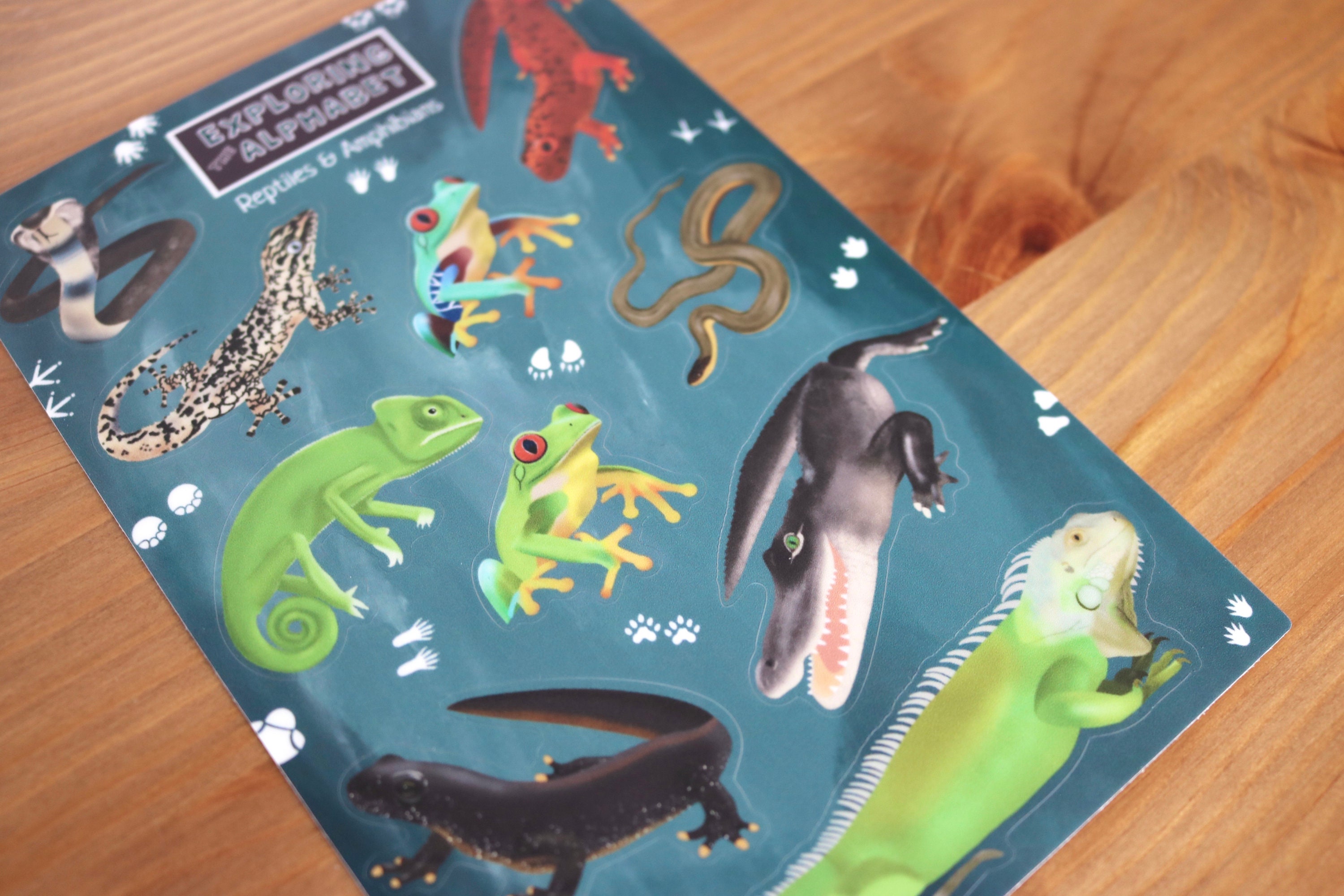 Reptiles & Amphibians Sticker Sheet | Exploring the Alphabet ...