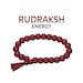 Avatar de RudrakshEnergy