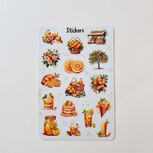 Sticker Sheet , Orange lovers, journal stickers, calendar, planner stickers, cute stickers, Aesthetic stickers, journal stickers, food stick