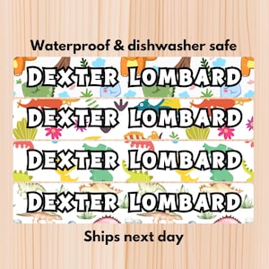 May include: Rectangular labels featuring the name "DEXTER LOMBARD" in black, bold font. The labels are decorated with dinosaur illustrations on a white background. Text at the top reads "Waterproof & dishwasher safe".