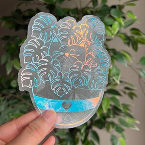 Cat and plants suncatcher sticker, cat lovers sticker, cat window decal, car decal, window cling, rainbow maker sticker, cat mom sticker