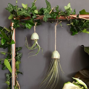 May include: Two air plants hanging from a copper pipe frame. The plants are in ceramic mushroom-shaped pots with a light green glaze. The pots are suspended from the pipe with twine.