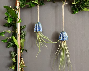 Keramik-Luftpflanzenhalter, Qualle, Hängedekoration, handgefertigtes Geschenk | Tillandsia Zimmerpflanzenhalter zum Aufhängen, Keramik, Qualle, Geschenk