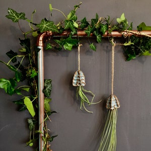 May include: Two air plants hanging from a copper pipe with green ivy growing around it. The air plants are in blue and brown ceramic planters.