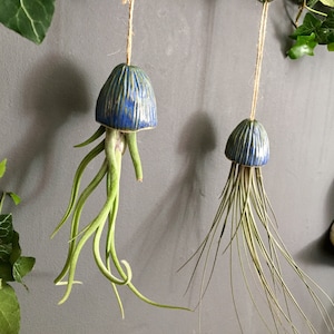 Ceramic Air Plant Holder Jellyfish Decoration Handmade Gift | Tillandsia Fille de L’Air Plante Intérieur suspendue Ceramic Méduse Cadeau