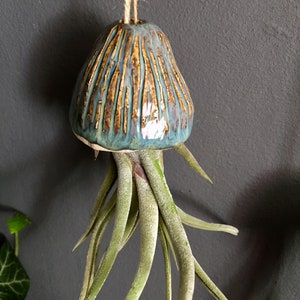 Ceramic Air Plant Holder Jellyfish Hanging Decoration Handmade Gift Tillandsia Indoor Plant Holder Hanging Ceramic Jellyfish Gift image 3