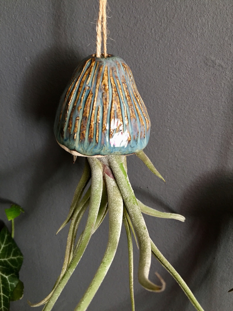 Ceramic Air Plant Holder Jellyfish Hanging Decoration Handmade Gift Tillandsia Indoor Plant Holder Hanging Ceramic Jellyfish Gift image 3