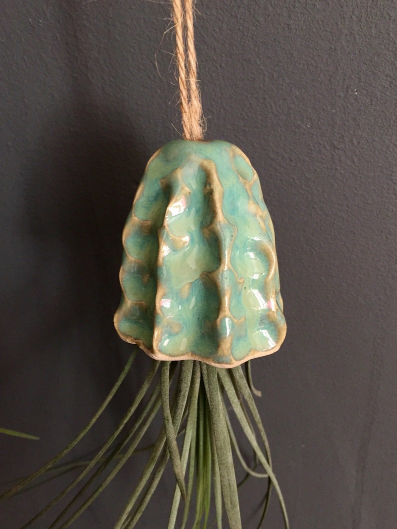 Soporte para plantas de aire de cerámica, decoración colgante de medusas, regalo hecho a mano Titular de la planta de interior Tillandsia colgante regalo de medusas de cerámica imagen 5