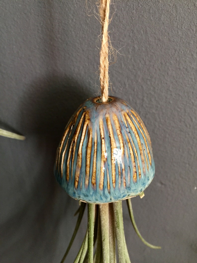 Porta piante ad aria in ceramica Decorazione da appendere con meduse Regalo fatto a mano Porta piante da interno Tillandsia, regalo con meduse in ceramica sospese immagine 4