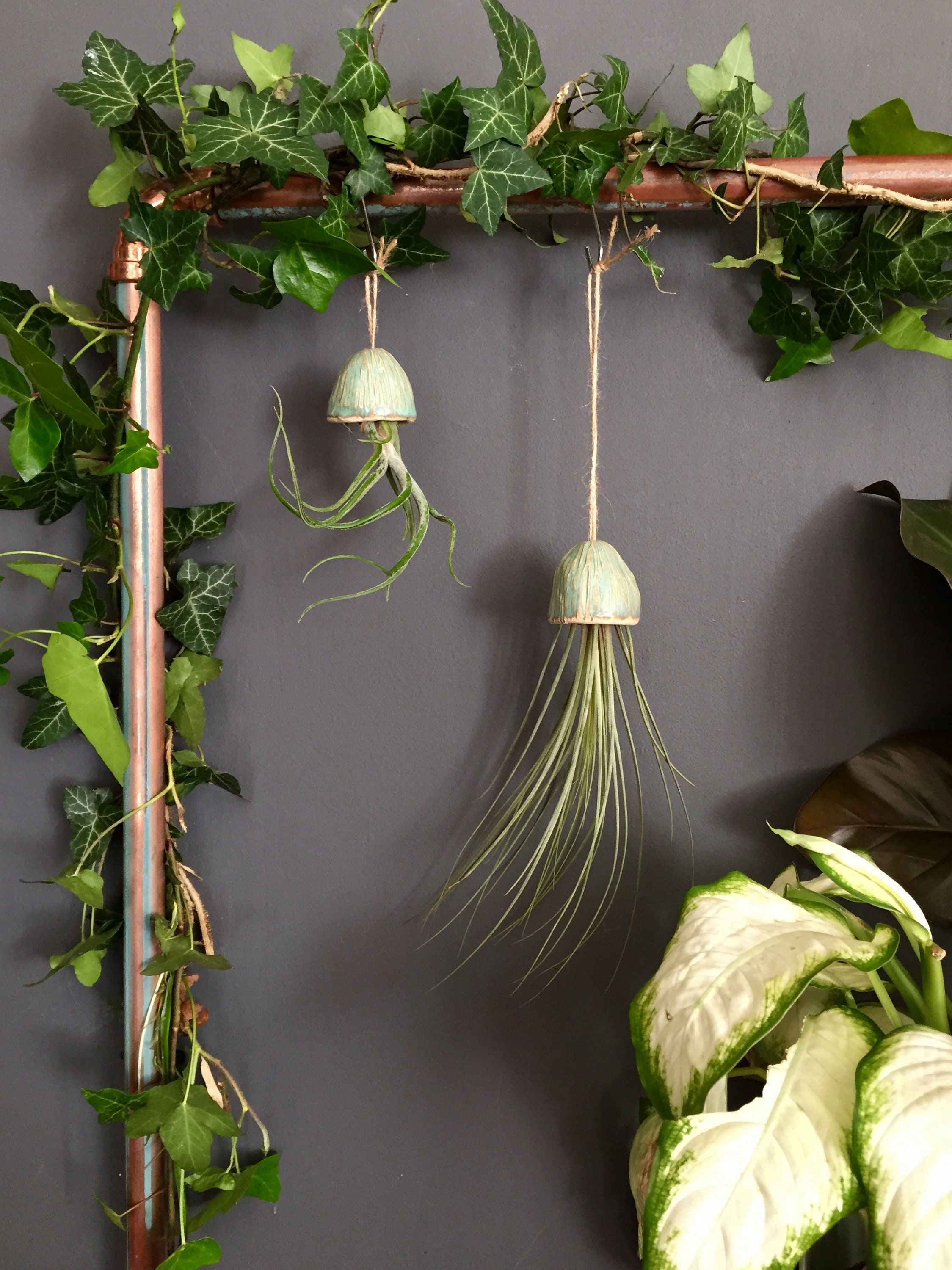 Ceramic Air Plant Holder Jellyfish Decoration Handmade Gift | Tillandsia Fille de L’Air Plante Intérieur suspendue Ceramic Méduse Cadeau
