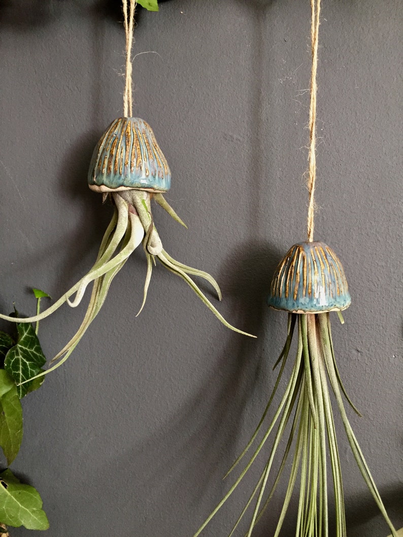 Ceramic Air Plant Holder Jellyfish Hanging Decoration Handmade Gift Tillandsia Indoor Plant Holder Hanging Ceramic Jellyfish Gift image 2