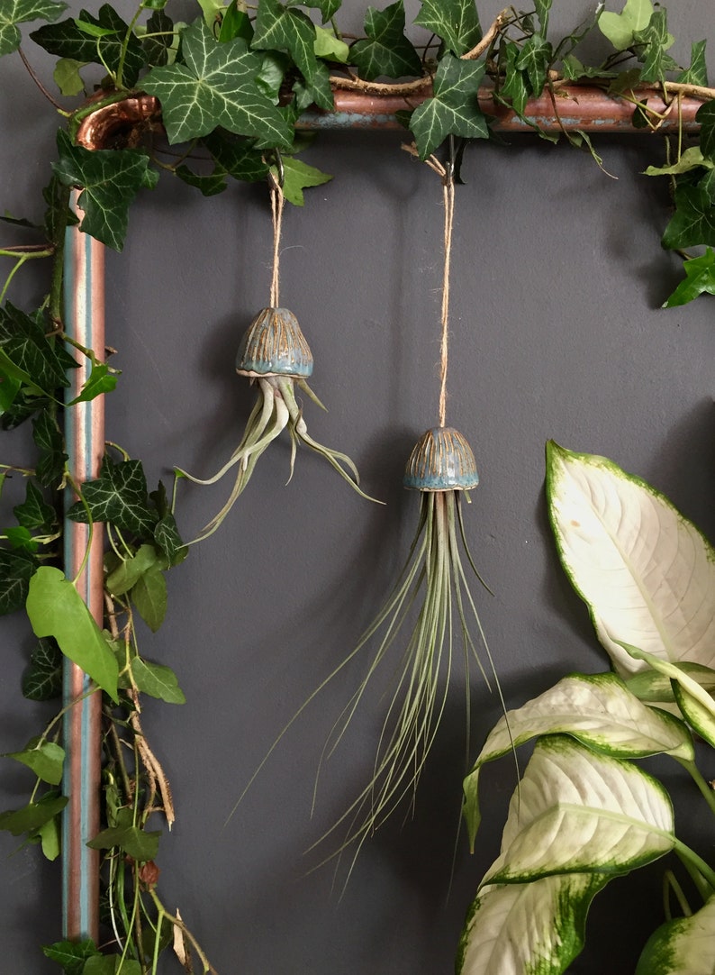 Porta piante ad aria in ceramica Decorazione da appendere con meduse Regalo fatto a mano Porta piante da interno Tillandsia, regalo con meduse in ceramica sospese immagine 1