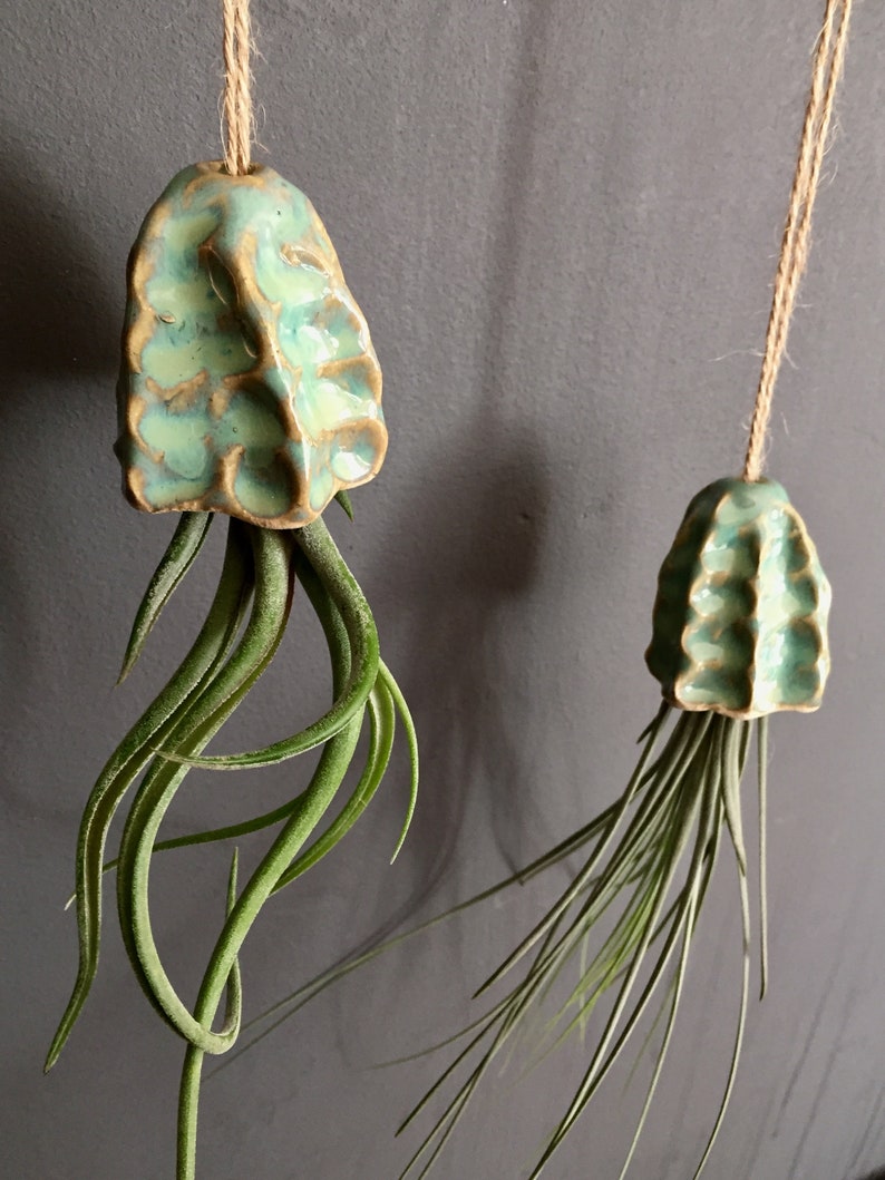 Soporte para plantas de aire de cerámica, decoración colgante de medusas, regalo hecho a mano Titular de la planta de interior Tillandsia colgante regalo de medusas de cerámica imagen 1