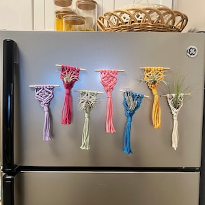Macrame Air Plant Magnet | Braided Plant Hanger | Air Plant Display | Plant Holder | Plant Decor | Spring | Boho Kitchen | Mother&#39;s Day Gift