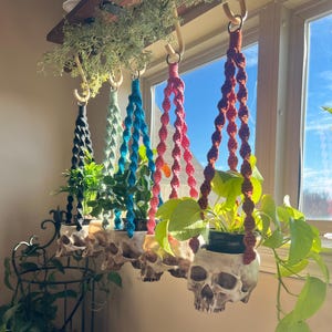 May include: Five hanging plant holders made of macrame rope in black, light green, teal, pink, and brown. Each holder is attached to a skull-shaped planter. The planters are white with gray detailing. The plants are hanging in front of a window.