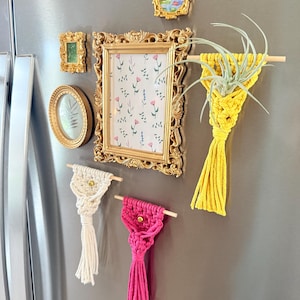 Macrame Air Plant Magnet | Braided Plant Hanger | Air Plant Display | Plant Holder | Plant Decor | Spring | Boho Kitchen | Mother's Day Gift