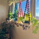 Skeleton Accessories