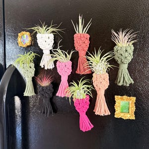 Könnte beinhalten: Eine Sammlung von Makramee-Pflanzenhaltern in verschiedenen Farben, darunter Weiß, Rosa, Koralle, Grün und Schwarz, die jeweils eine Luftpflanze halten. Zwei kleine, verzierte Bilderrahmen sind ebenfalls an der schwarzen Oberfläche befestigt.