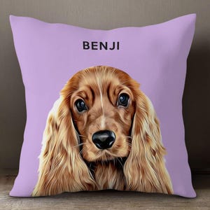 Personalized Cartooned Pet Pillow, Cartoon Pet Pillow with Personalized Photo, Cartoon Pillow, Pet Pillow, Pet Gift, for Dog and Cat Gift