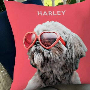 Personalized Cartooned Pet Pillow, Cartoon Pet Pillow with Personalized Photo, Cartoon Pillow, Pet Pillow, Pet Gift, for Dog and Cat Gift