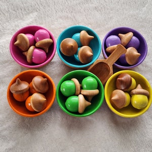 Pastel Acorn and Bowls Sorting Set | Creative Play image 6