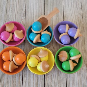 Pastel Acorn and Bowls Sorting Set | Creative Play image 3