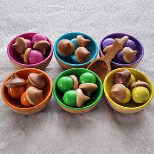 Pastel Acorn and Bowls Sorting Set | Creative Play image 4
