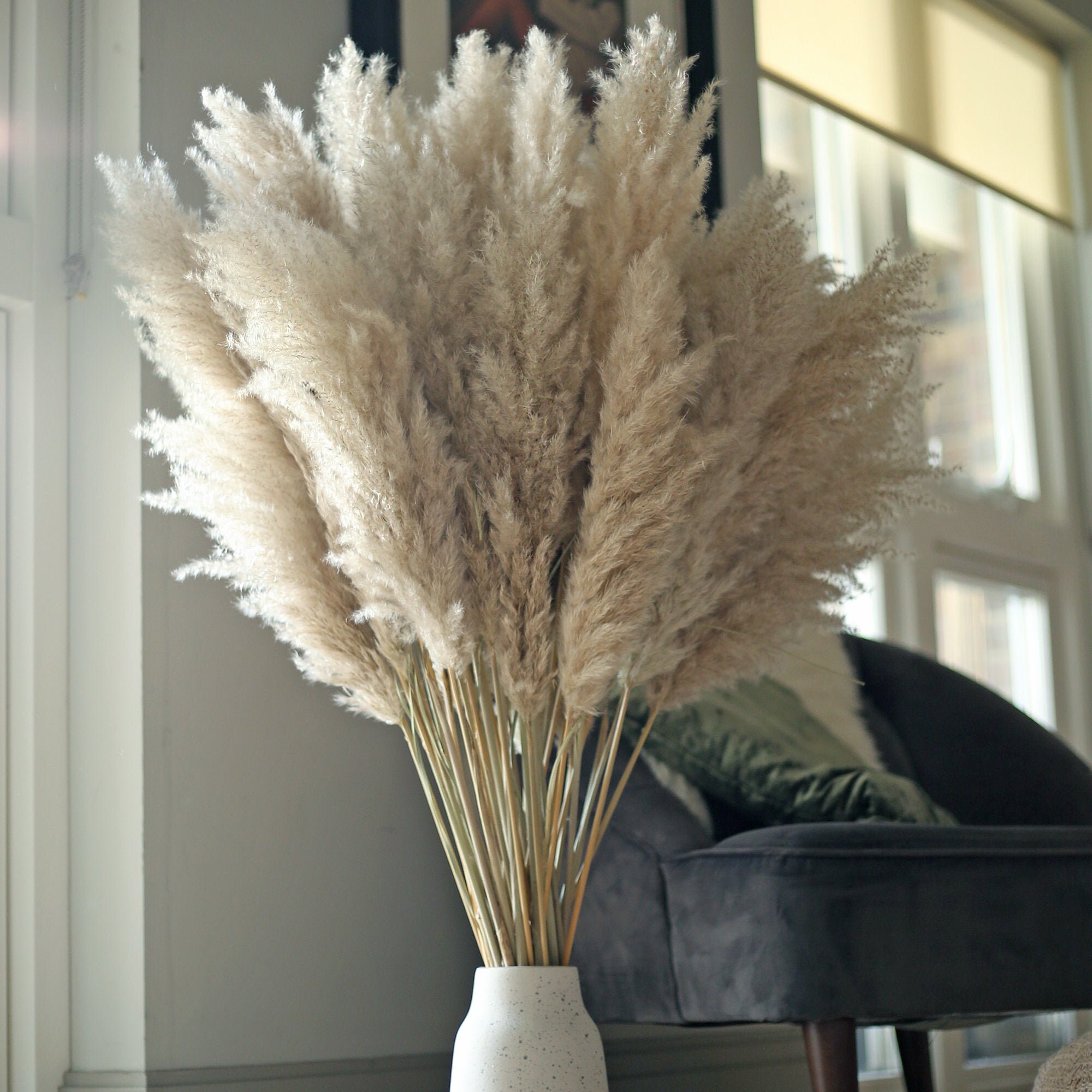 Tall Pampas Grass. 110cm Fluffy Pampas Grass. Birthday Gift. Etsy