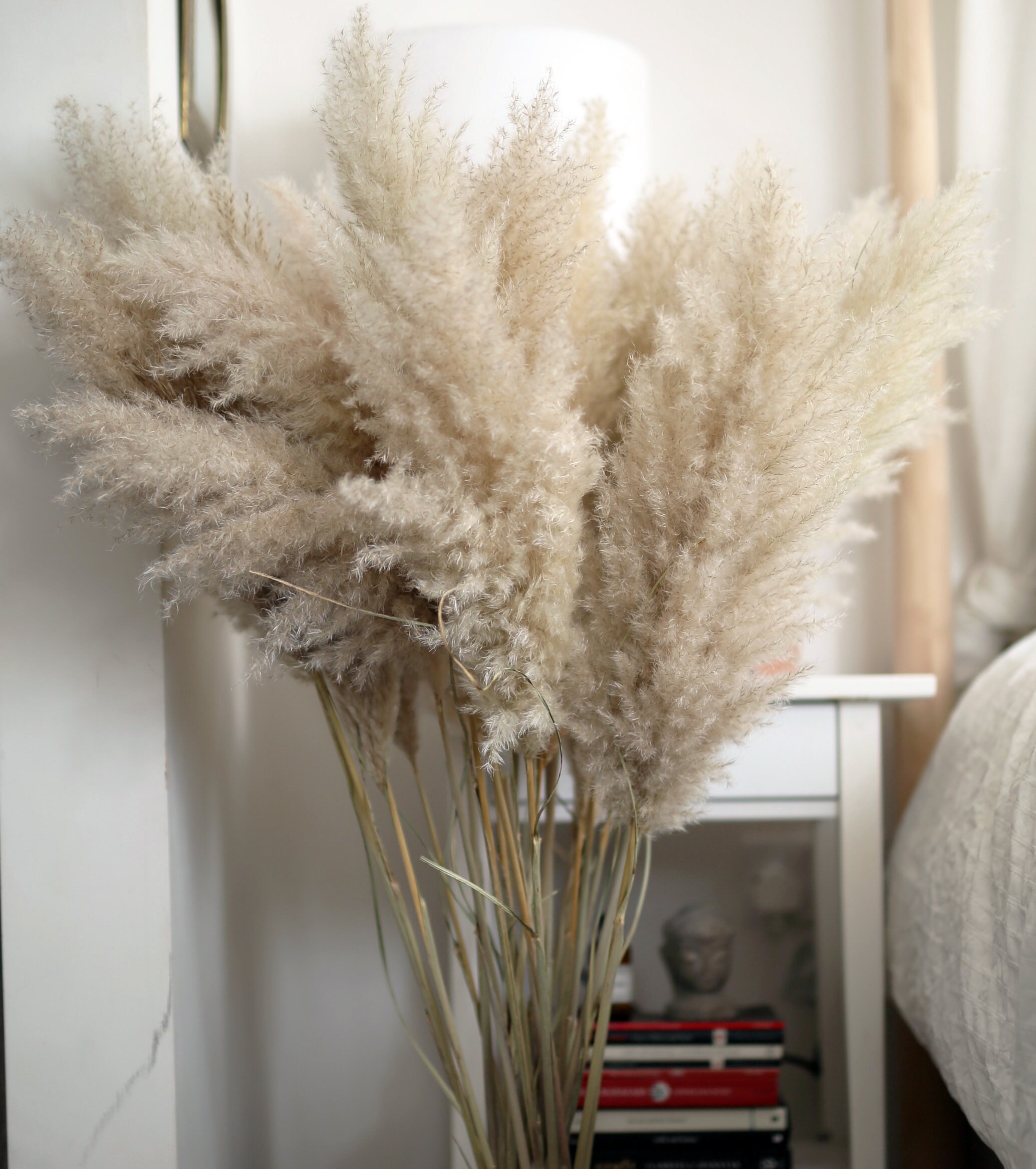 115cm XL Large Pampas Grass Fluffy Pampas Grass Stem Beige Etsy