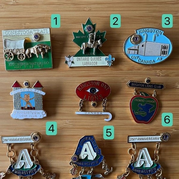Collection De Pins Lions Club - 85 Pins De 8 États, Occasion En Très Bon état